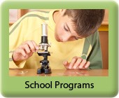 HP-school programs